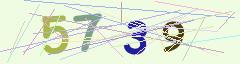 CAPTCHA validation image