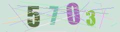 CAPTCHA validation image