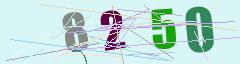 CAPTCHA validation image
