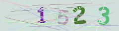 CAPTCHA validation image