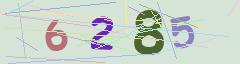 CAPTCHA validation image