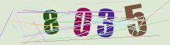 CAPTCHA validation image