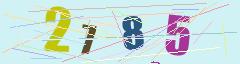 CAPTCHA validation image