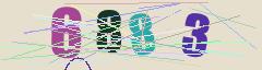 CAPTCHA validation image
