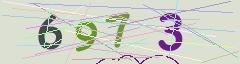 CAPTCHA validation image