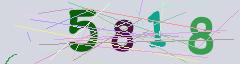 CAPTCHA validation image