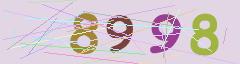 CAPTCHA validation image