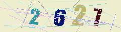 CAPTCHA validation image