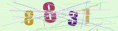 CAPTCHA validation image