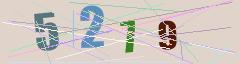 CAPTCHA validation image