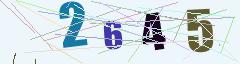 CAPTCHA validation image