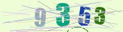 CAPTCHA validation image
