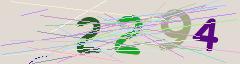 CAPTCHA validation image
