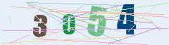 CAPTCHA validation image