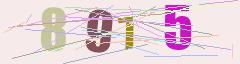 CAPTCHA validation image