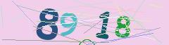 CAPTCHA validation image
