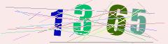 CAPTCHA validation image