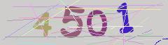CAPTCHA validation image