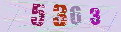 CAPTCHA validation image