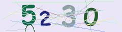 CAPTCHA validation image