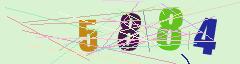 CAPTCHA validation image