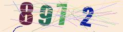 CAPTCHA validation image