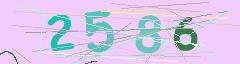 CAPTCHA validation image