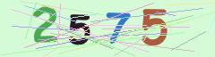 CAPTCHA validation image