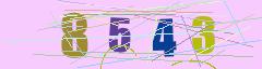 CAPTCHA validation image