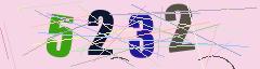CAPTCHA validation image