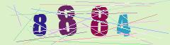 CAPTCHA validation image