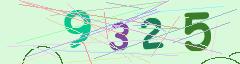 CAPTCHA validation image