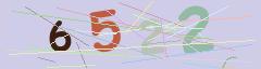 CAPTCHA validation image