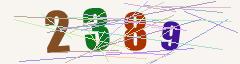 CAPTCHA validation image
