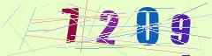 CAPTCHA validation image