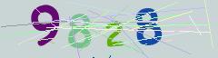 CAPTCHA validation image