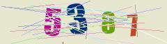 CAPTCHA validation image