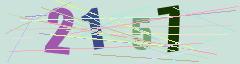 CAPTCHA validation image