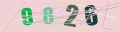 CAPTCHA validation image