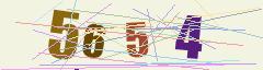 CAPTCHA validation image