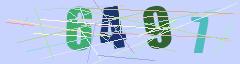 CAPTCHA validation image
