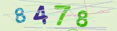 CAPTCHA validation image