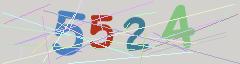 CAPTCHA validation image