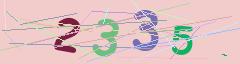 CAPTCHA validation image