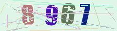 CAPTCHA validation image