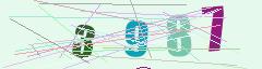 CAPTCHA validation image