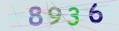 CAPTCHA validation image