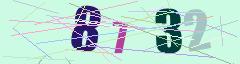 CAPTCHA validation image