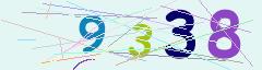 CAPTCHA validation image