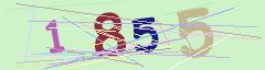 CAPTCHA validation image